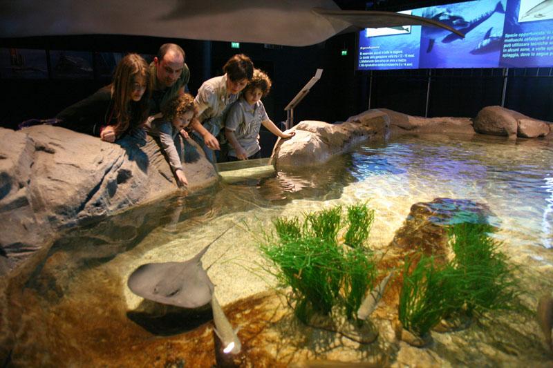 cosa fare a Riccione: Oltremare parco tematico naturalistico-tecnologico